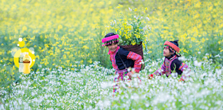 HƯƠNG SẮC QUÊ NHÀ