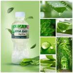 Nha Đam Mủ Trôm Thái Sơn – Món Ngon Quê Việt – 2019 – 02
