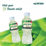 nha-dam-mu-trom-thai-son-1600×1397